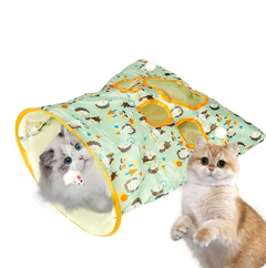 Kitten playing at the green cat tunnel