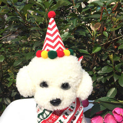 Fluffy white dog wearing the Christmas party hat