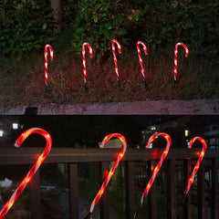 Candy cane lights glowing along a garden at night